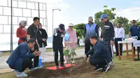 Wakil Presiden Ma'ruf Amin menanam pohon sukun di Mako Lanal Mamuju (Foto: Liputan6.com/Istimewa)