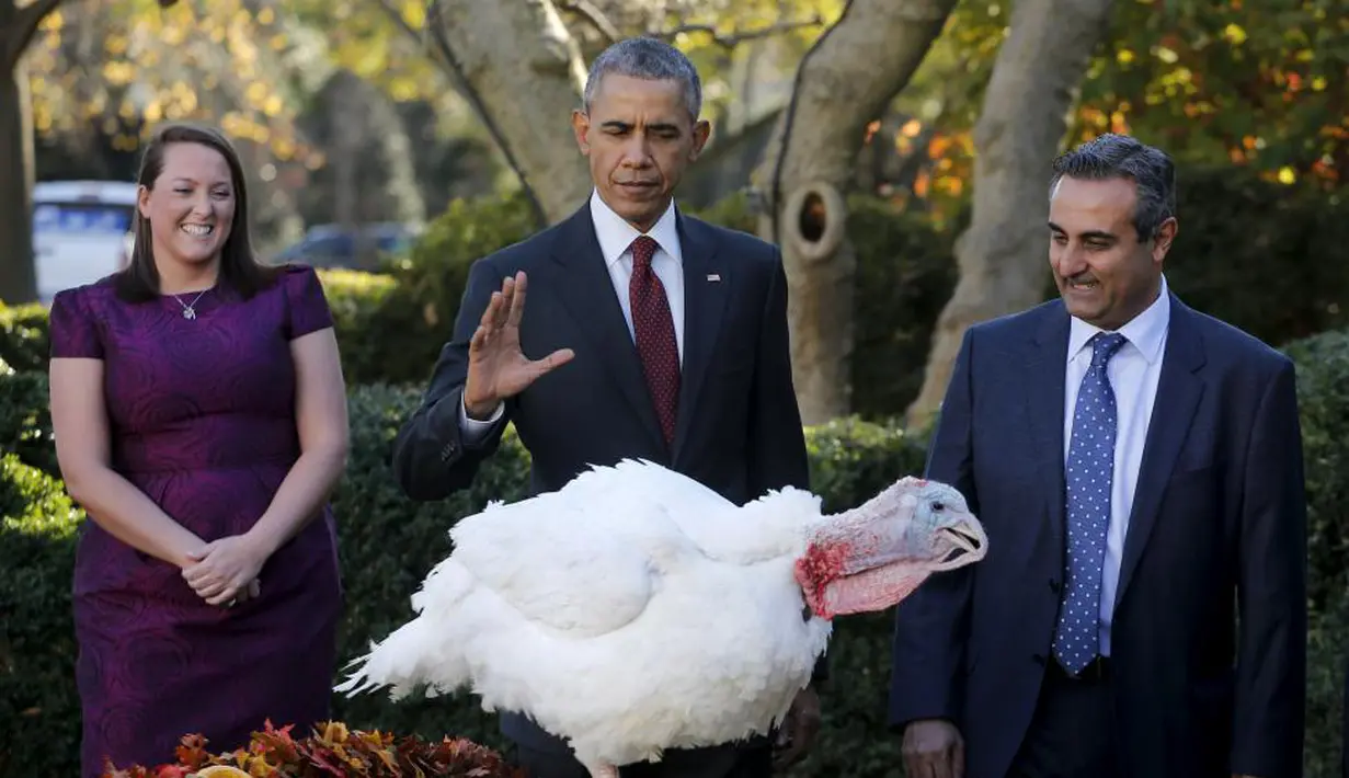 Presiden Barack Obama melihat kalkun saat acara Thanksgiving di Rose Garden Gedung Putih di Washington (25/11/2015). (REUTERS / Carlos Barria)