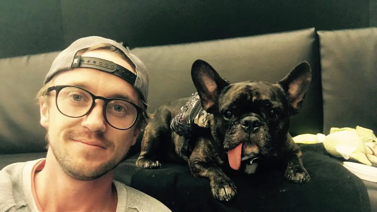 [Bintang] Tom Felton