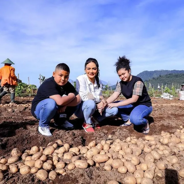 6 Momen Krisdayanti Ajak Kedua Anaknya Panen Kentang di Ladang Warga, Aksinya Banjir Pujian