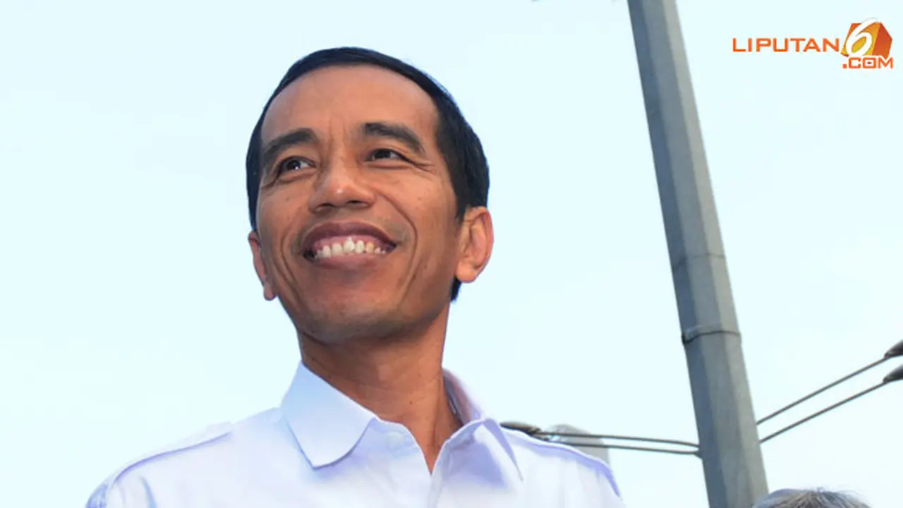 jokowi-kota130506b.jpg