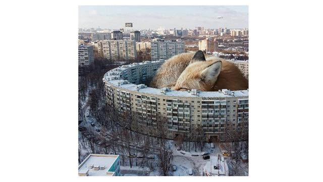 8 Ilustrasi Digital Ubah Bentuk Hewan Jadi Raksasa Ini Curi Perhatian