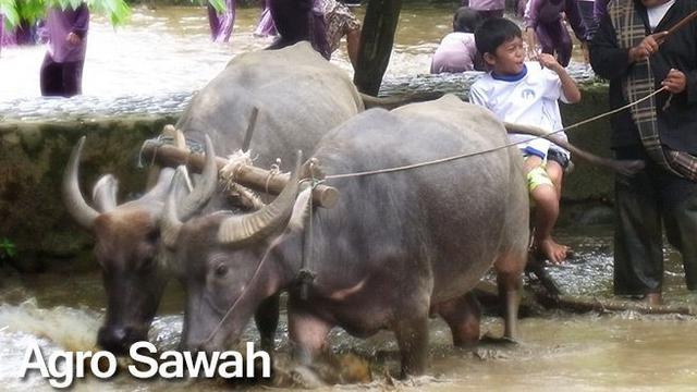 Taman Wisata Matahari Theme Park Sarat Edukasi Garapan Hari