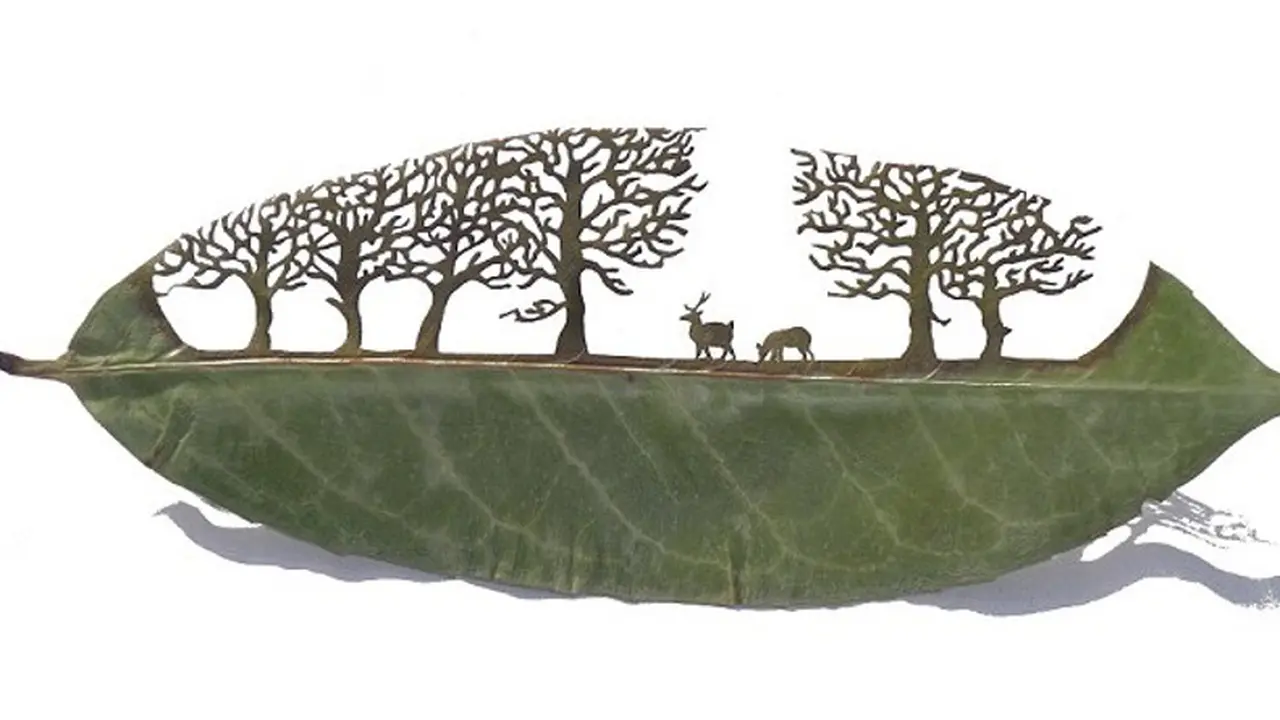Cut Leaf Art 0714 1
