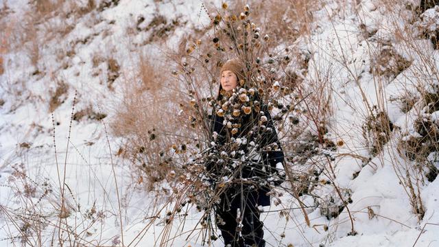 Lansia Dirias Ranting dan Dahan Kering