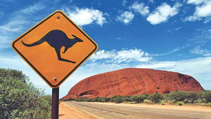 10 Hewan yang Membuktikan Kalau Australia Itu Seram