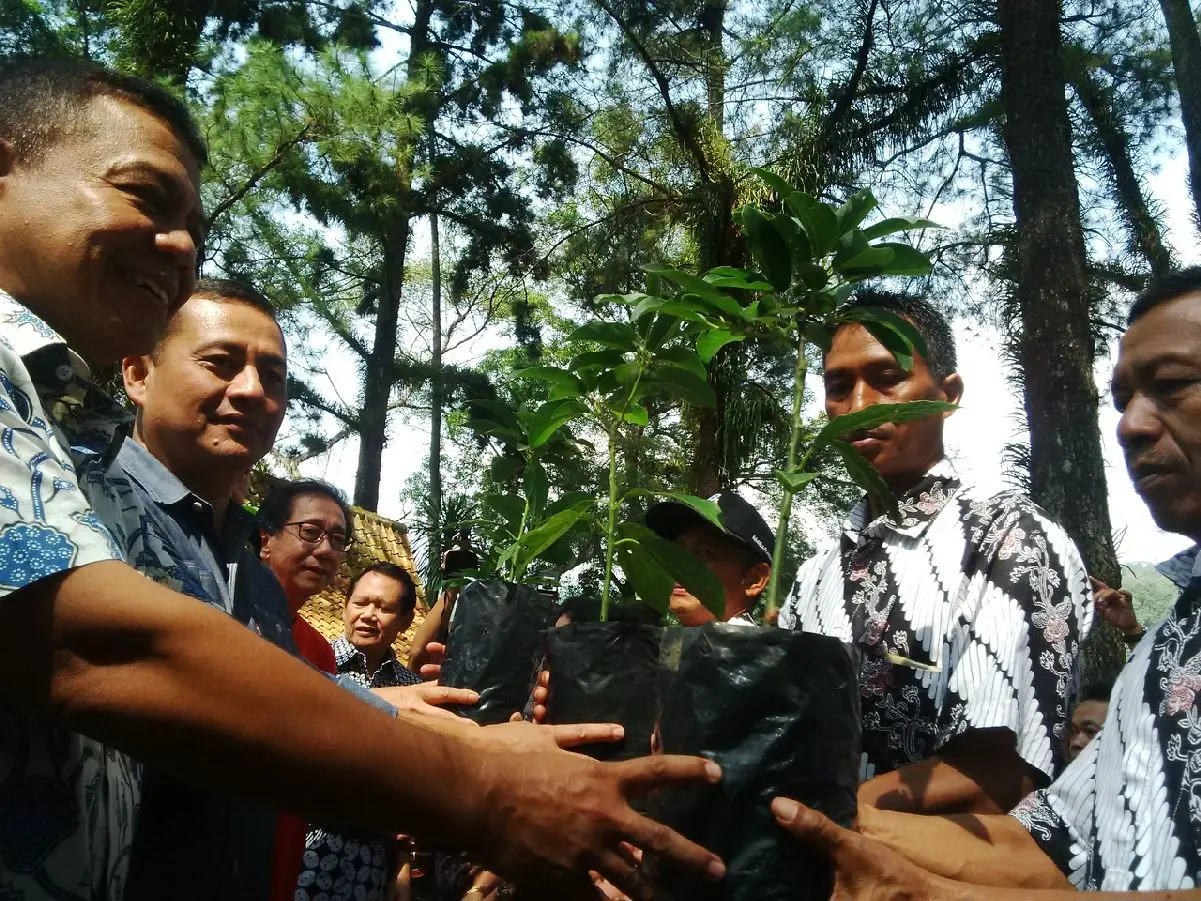 Untuk mendukung Danau Rawapening menjadi obyek wisata dunia, dilakukan penanaman berbagai macam jenis pohon. (foto : Liputan6.com/edhie prayitno ige)