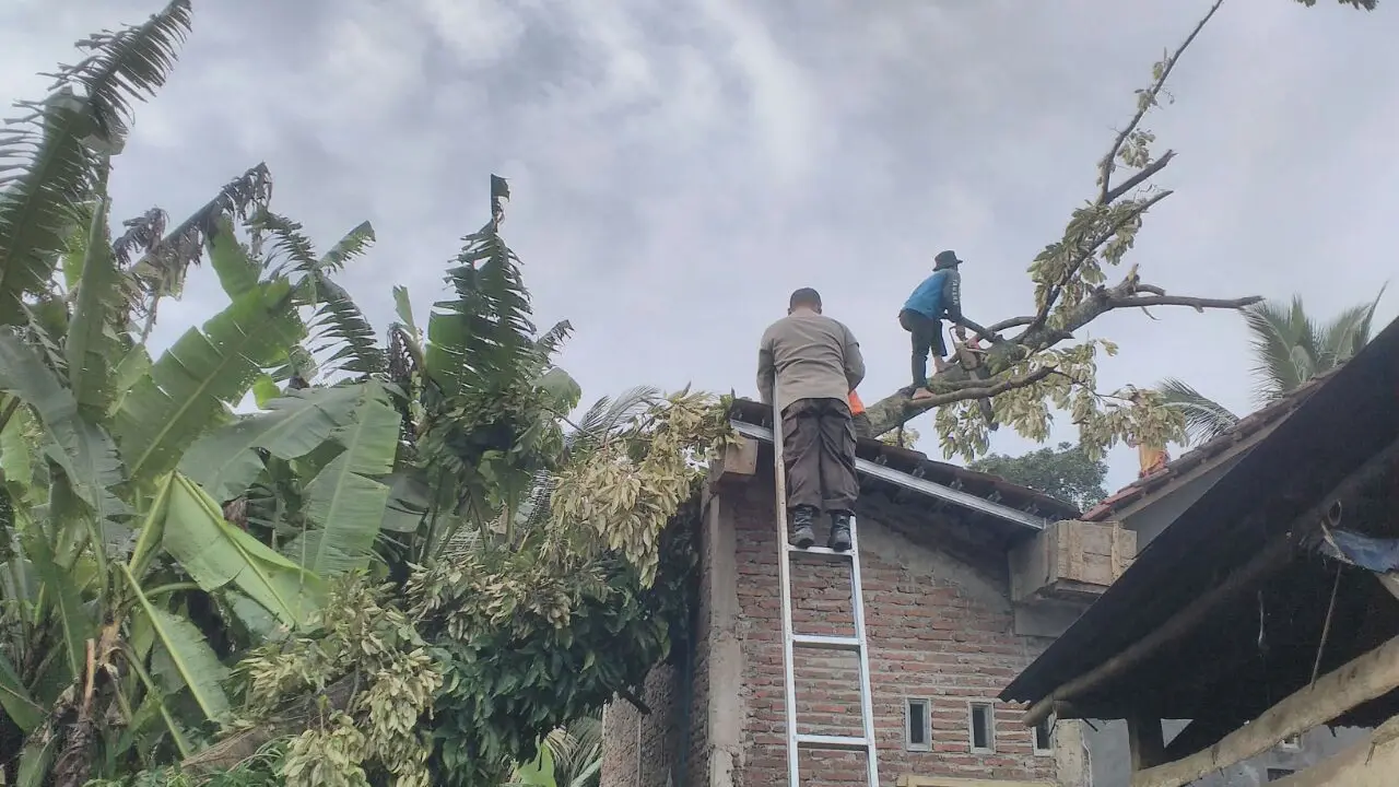 Puting beliung merusak puluhan rumah di Desa Gandatapa, Sumbang, Banyumas. (Foto: Liputan6.com/Tagana Banyumas/Muhamad Ridlo)