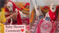 Wanita beri kejutan baby shower untuk anjing peliharaannya. (Sumber: Instagram/rosy_remo_the_retriever_007)