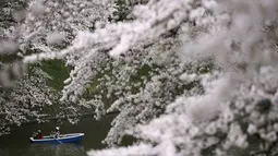 Pria dan wanita naik perahu menikmati keindahan bunga sakura di Chidorigafuchi selama musim semi di Tokyo, Jepang, (4/4). Wisatawan dunia memusatkan perhatian ke Jepang saat musim semi bulan April setiap tahunnya. (REUTERS/Issei Kato)