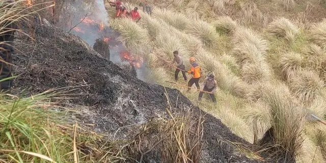 Kebakaran Bromo Meluas, Kendaraan Polisi Dimodifikasi untuk Pemadaman