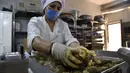 Relawan dari asosiasi Nass el-Khir memasak makanan untuk didistribusikan kepada mereka yang membutuhkan selama bulan suci Ramadan di Aljir, Aljazair, Senin (18/5/2020). (RYAD KRAMDI/AFP)
