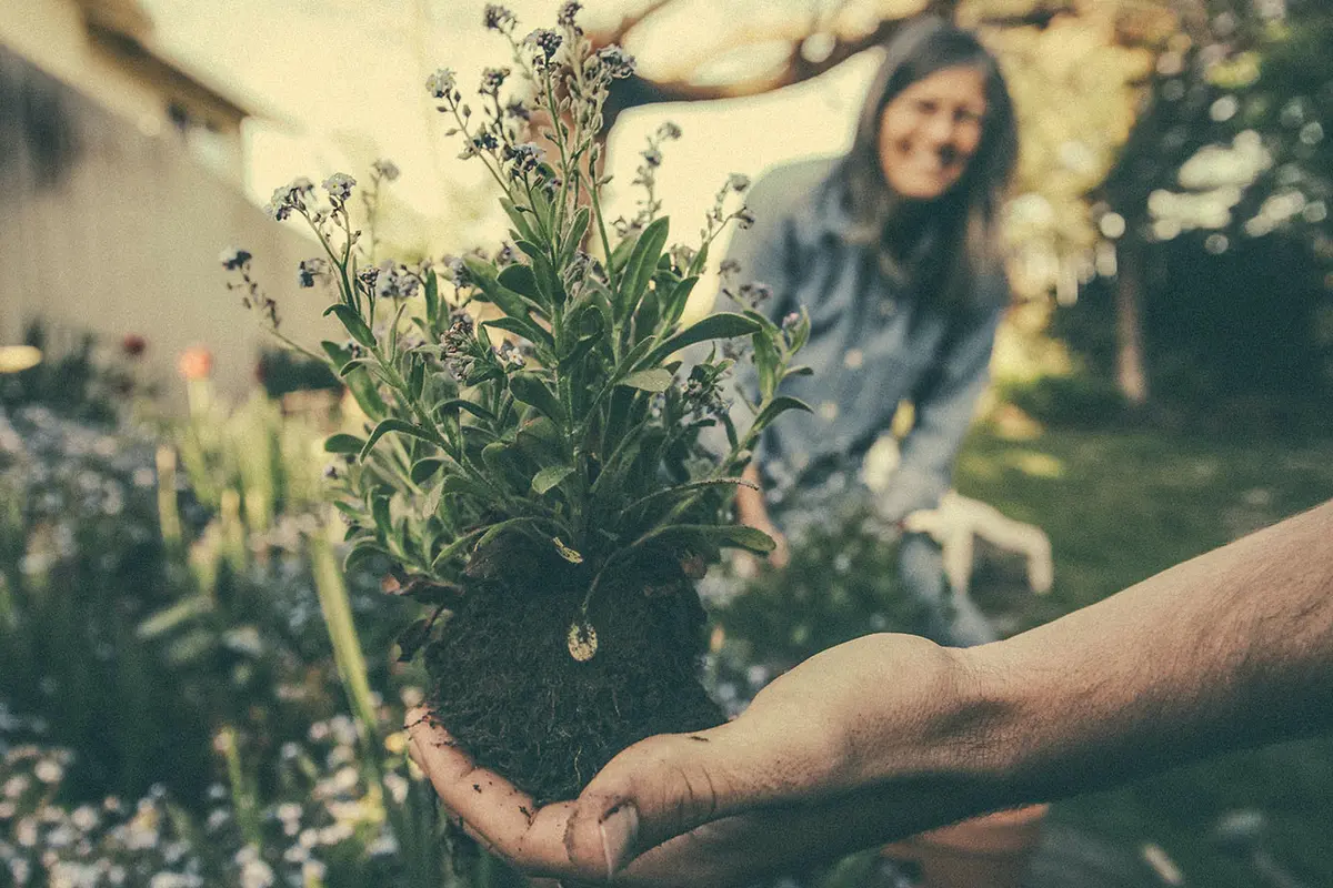 Suka Merawat Tanaman, 5 Zodiak Ini Dikenal Paling Pandai Berkebun