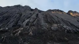 Puncak Carstensz, yang menjadi bagian dari Pegunungan Jaya Wijaya di Papua, menjadi salah satu pencapaian tertinggi Fiersa. Namun, perjalanan ini bukan tanpa risiko. Tragedi kehilangan dua rekan pendaki, Fiersa Besari berduka. (Liputan6.com/IG/@fiersa)