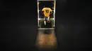 Patung legenda sepak bola Brasil seukuran aslinya dipajang di Museum Pele, Santos, Brasil, 26 Desember 2022. Di museum ini para pengunjung bisa melihat lebih dari 2.500 benda yang memiliki kaitan dengan karier Pele. (AP Photo/Matias Delacroix)