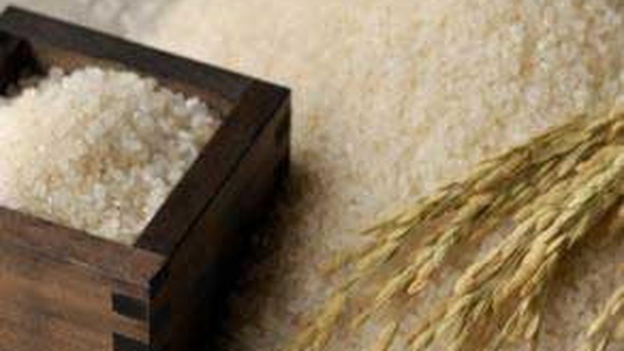 Bupati Kutawaringin Timur Bela Beras Lokal