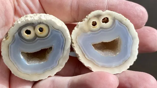 Batu mirip tokoh boneka tangan di Sesame Street
