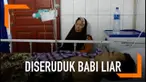 Satu keluarga di Padang terluka setelah diseruduk babi liar yang tiba-tiba masuk pekarangan rumahnya.