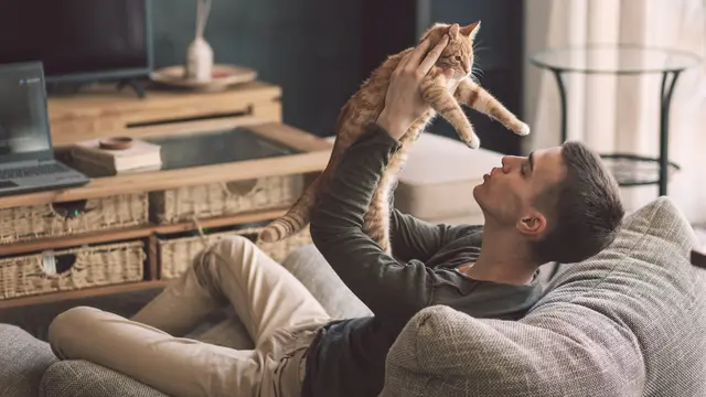 Ilustrasi bermain dengan kucing.