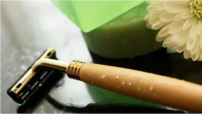 Copyright by Shutterstock.com