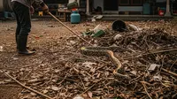 8 Jenis Ular yang Ahli Kamuflase, Penyamar Handal di Dunia Reptil