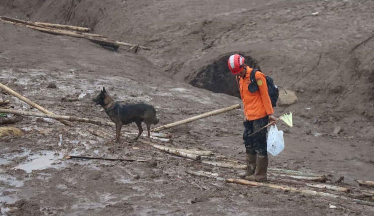 Dalam foto yang dirilis oleh Badan Nasional Penanggulangan Bencana (BNPB) Indonesia ini, seorang petugas penyelamat mencari korban di Desa Pasirlangu, Kecamatan Cisarua, Kabupaten Bandung Barat, Jawa Barat, Senin 26 Januari 2026. Tim SAR gabungan terus memperluas area pencarian korban longsor di Desa Pasirlangu, Kecamatan Cisarua, Kabupaten Bandung Barat. (BNPB via AP)