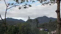 Gunung Irau di Malaysia. (Dok: Gunung Bagging https://www.gunungbagging.com/irau-malaysia/nggallery/page/3)