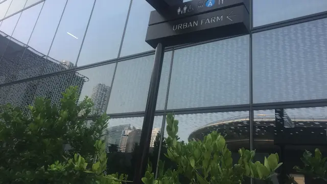 Penggagas komunitas bertani bernama Edible Garden City kerap memanfaatkan atap-atap gedung bertingkat menjadi lokasi strategis mereka. (Liputan6.com/Muhammad Radityo Priyasmoro)