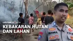 Kebakaran hutan dan lahan melanda kawasan perbukitan Pulau Battoa, Polewali Mandar, Sulawesi Barat. Lebih dari 10 hektare lahan terbakar. Sementara, di Aceh Barat luas lahan yang terbakar lebih dari 8 hektare.