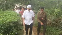 Menteri Pariwisata Arief Yahya meninjau Kebun Teh Nglinggo, Samigaluh, Kabupaten Kulon Progo.