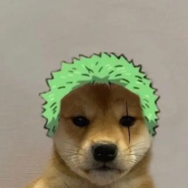 6 Editan Foto Anjing Jadi Kru Mugiwara One Piece Ini Kocak