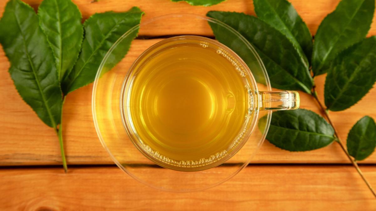 Manfaat Ajaib Rebusan Daun Sirsak, Solusi Alami untuk Asam Urat dan Diabetes