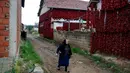 Seorang lansia berjalan melintasi rumah yang temboknya penuh dengan gantungan paprika merah untuk dikeringkan, di Desa Donja Lakosnica, Serbia, 6 Oktober 2016. Saat musim panen, warga menjemur paprika di dinding hingga atap rumah. (REUTERS/Marko Djurica)