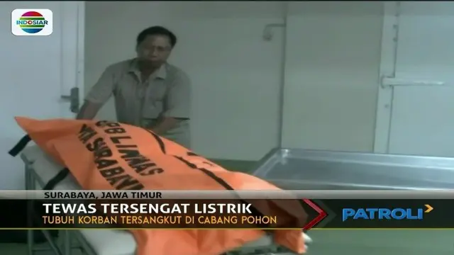 Niat ingin menebang dahan pohon mangga, pria ini malah tewas tersengat listrik.