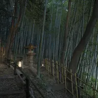 Terletak di tengah-tengah distrik Higashiyama yang bersejarah.