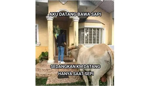 6 Meme Pantun Galau Tentang Kehidupan Cinta, Bikin Bucin Kepikiran