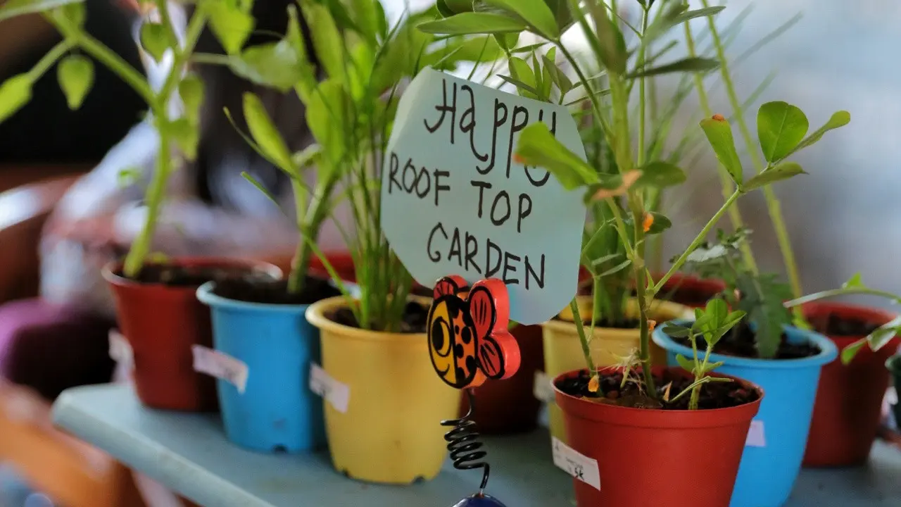 [Fimela] Komunitas Urban Farming Jakarta: Ajak masyarakat berkebun di rumah