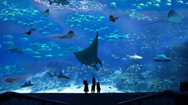 Catat, Ini Beragam Atraksi Seru di Resorts World Sentosa Singapore Menyambut Bulan Kemerdekaan