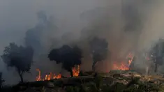 Kebakaran hutan terjadi di Lagoa, Portugal, Kamis (8/9). Dikabarkan lebih dari 100 ribu hektare hutan terbakar. (REUTERS / Miguel Vidal)