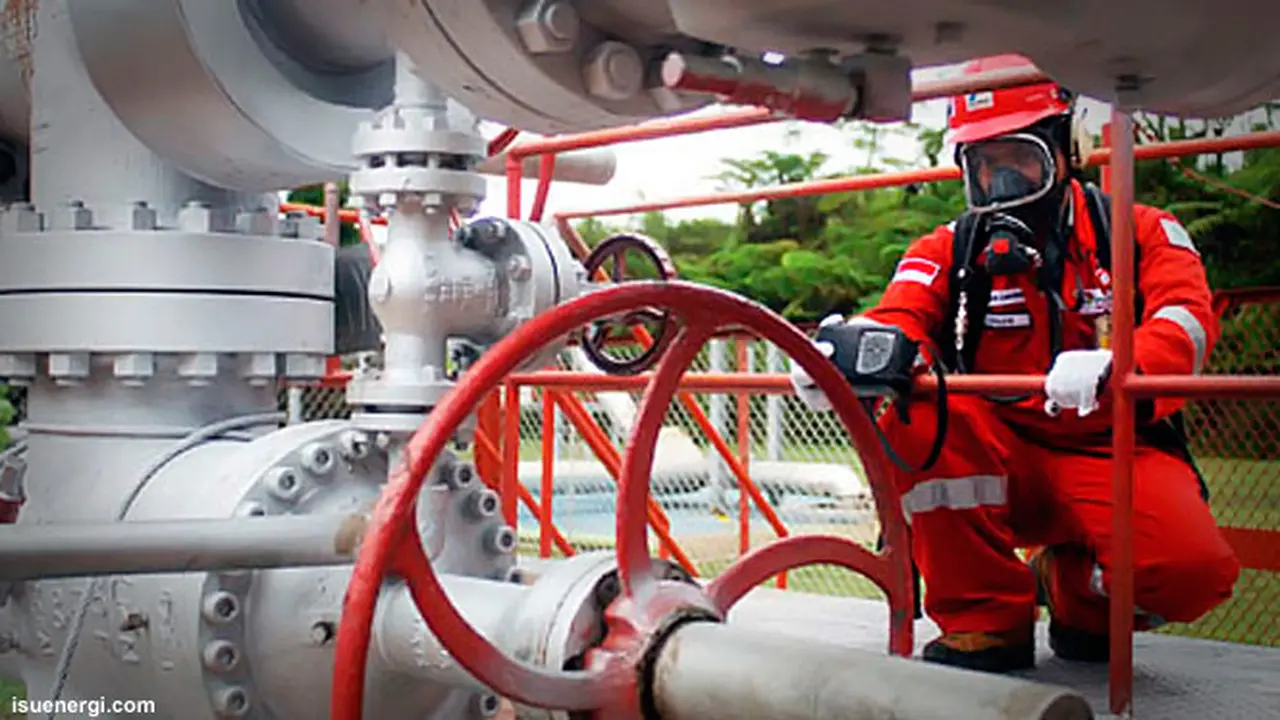 merpati-pertamina-140128b.jpg