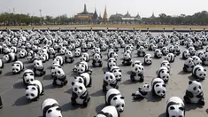 Sejumlah patung Panda berjejer di depan Grand Palace, Bangkok , Thailand , 4 Maret 2016. Patung Panda ini merupakan pameran yang dibuat oleh seniman Perancis Paulo Grangeon. (REUTERS / Chaiwat Subprasom)