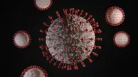 Para ilmuwan ciptakan masker untuk virus pernapasan umum yang dapat mendeteksi COVID-19 dalam waktu 10 menit. (unsplash.com/Viktor Forgacs)