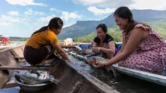 Nelayan perempuan membersihkan ikan di atas perahu di Danau Nam Ngum di Provinsi Vientiane, Laos, pada 15 Desember 2020. Terletak di hilir Sungai Nam Ngum dan sekitar 80 km dari ibu kota, Danau Nam Ngum merupakan tempat dengan ratusan pulau kecil yang tersebar di dalamnya. (Xinhua/Kaikeo Saiyasane)