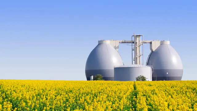 ilustrasi pengertian biogas/Visions-AD/shutterstock