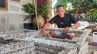 Siswanto perajin kerang asal Cirebon sedang mengerjakan pesanan kerajinan kerang untuk dikirim ke pabrik di Jakarta. Foto (Liputan6.com / Panji Prayitno)