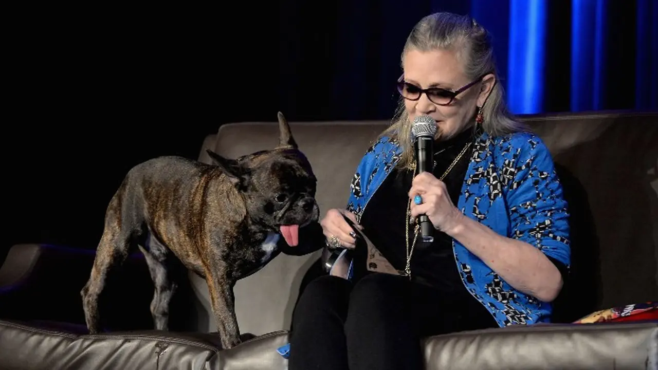 Carrie Fisher bersama anjingnya, Garry. (AFP/Bintang.com)