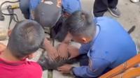 Tim Damkar berupaya evakuasi lutung yang berkeliaran di hotel Sukabumi