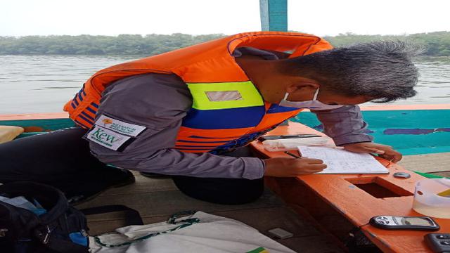 Konservasi Tumbuhan Potensial Pemulih Ekosistem Sungai Brantas