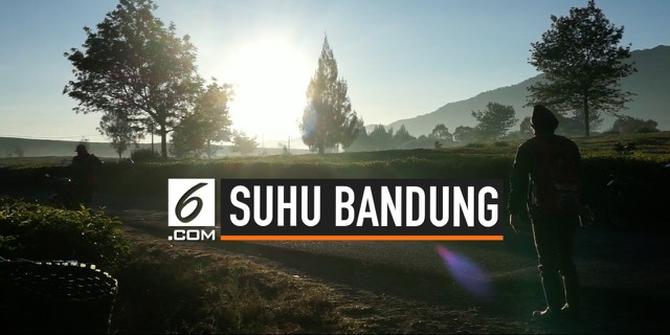 VIDEO: Suhu Dingin Bandung Merusak Tanaman