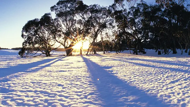 Foto: copyright manfullyalive.com